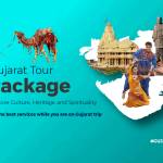 Gujarat Package Profile Picture